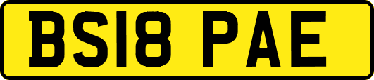 BS18PAE