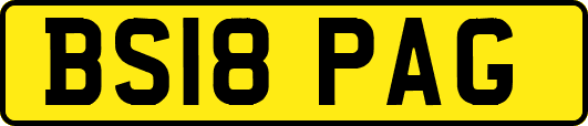 BS18PAG
