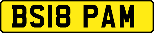 BS18PAM