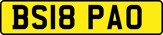 BS18PAO