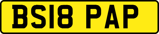 BS18PAP