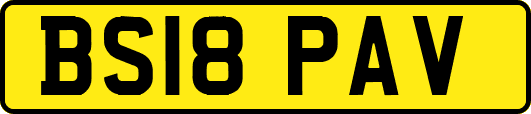 BS18PAV