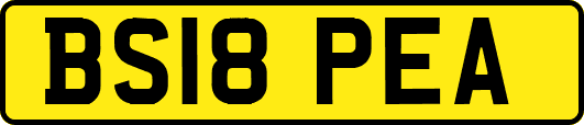 BS18PEA