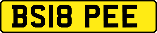 BS18PEE