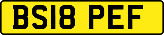 BS18PEF