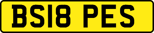 BS18PES
