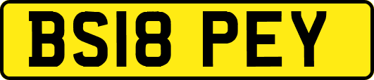 BS18PEY
