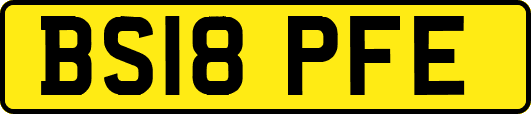 BS18PFE
