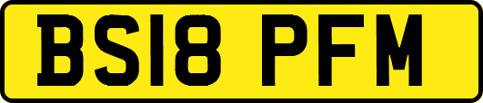 BS18PFM