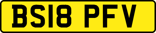 BS18PFV