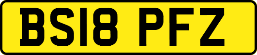 BS18PFZ