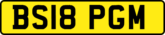 BS18PGM