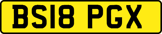 BS18PGX