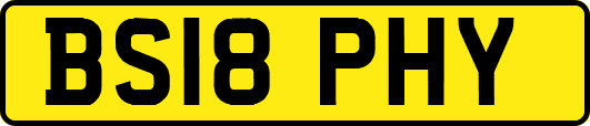 BS18PHY