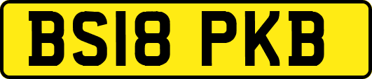 BS18PKB
