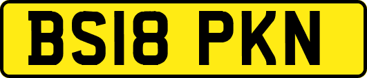 BS18PKN
