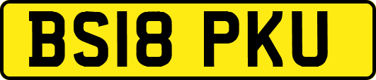 BS18PKU