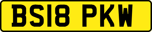BS18PKW