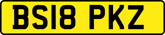 BS18PKZ