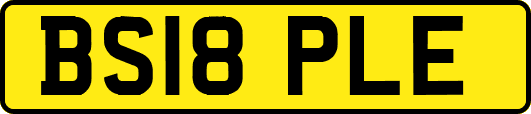 BS18PLE