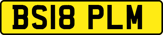 BS18PLM
