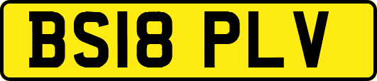 BS18PLV