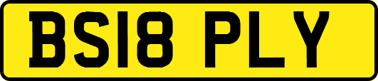 BS18PLY