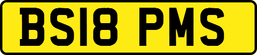 BS18PMS