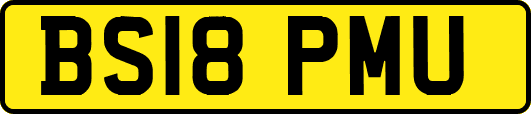 BS18PMU