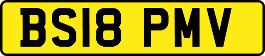 BS18PMV