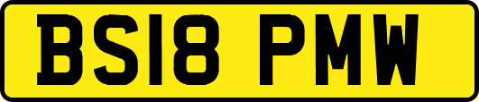 BS18PMW