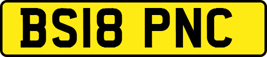 BS18PNC