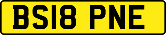 BS18PNE