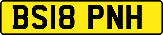 BS18PNH