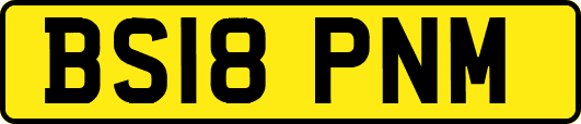 BS18PNM