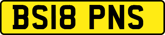 BS18PNS