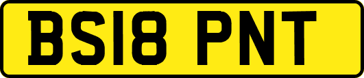 BS18PNT