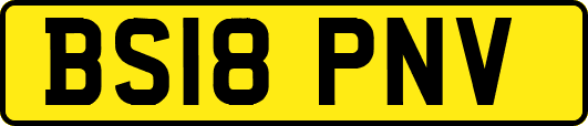 BS18PNV