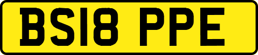 BS18PPE