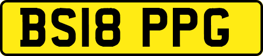 BS18PPG