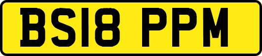 BS18PPM