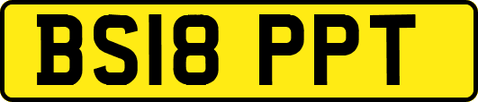 BS18PPT