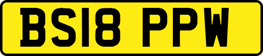 BS18PPW