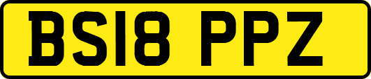 BS18PPZ