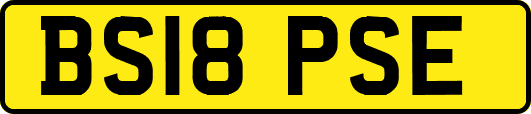 BS18PSE