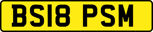 BS18PSM