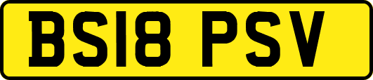 BS18PSV