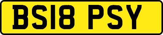BS18PSY