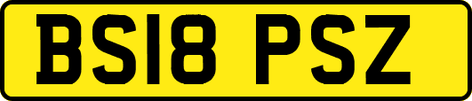 BS18PSZ