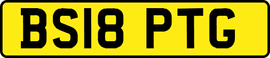 BS18PTG